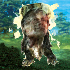 Wampís of Guayabal & Aboutface - Los Bosquesinos - 06 Los Bosquesinos (entire release non-stop version incl bonus)