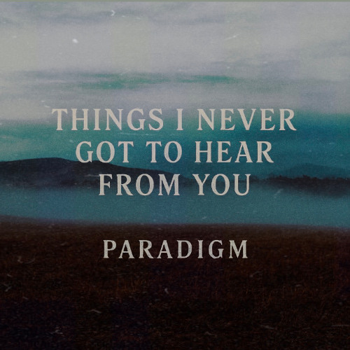 THINGS I NEVER GOT TO HEAR FROM YOU