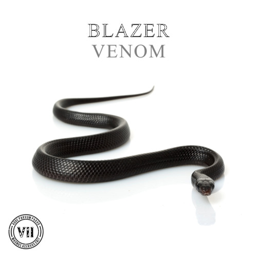 Venom (Original Mix)