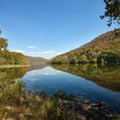 Audio Q&A with Will Bradshaw