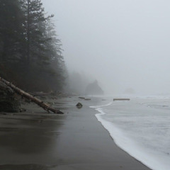 неразделенный закон