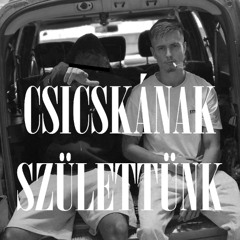 Csicskának születtünk