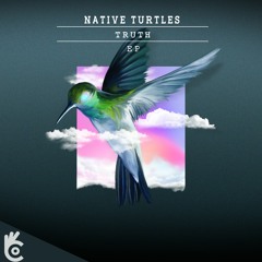 Native Turtles - Attention