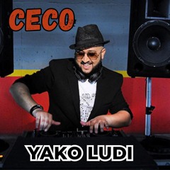 Yako Ludi