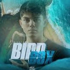 MEGA BIRD BOX   DJ ARON KAWILLIAN