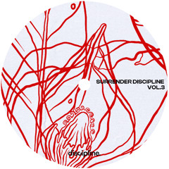 Premiere: Surrender Discipline - Avant Soleil