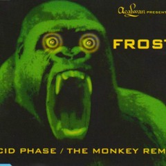 Frost - Acid Phase(Club Version)