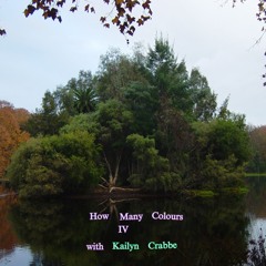 How Many Colours IV with Kailyn Crabbe