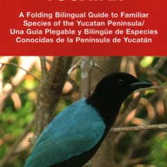 (PDF) Yucatan Birds/Aves de Yucatan: A Folding Pocket Guide to Familiar Species/