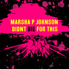marsha p johnson didn't die for this