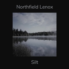 Silt (Layer 2)
