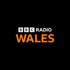 BBC Radio Wales - The Inaudibles present... Winter Warmer Mix (Broadcast 25/1/25)