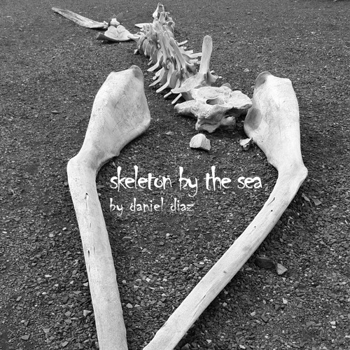 skeleton by the sea - naviarhaiku617