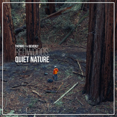 AMB92 Redwoods: Quiet Nature