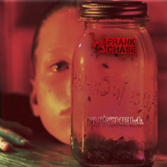 Alice In Chains - Nutshell (Frank Chase Cover)