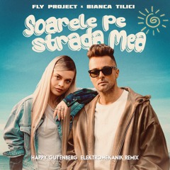 Fly Project x Bianca Tilici - Soarele Pe Strada Mea (Happy Gutenberg & Elektromekanik Remix)