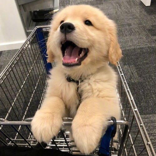 นิดหน่อย - S3CR3T (official audio)