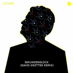 Herbert Grönemeyer - Sekundenglück (David Gretter Remix)