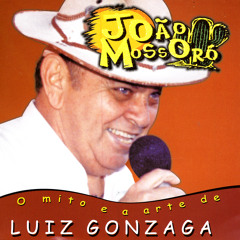 Pau De Arara / Baião Da Garoa