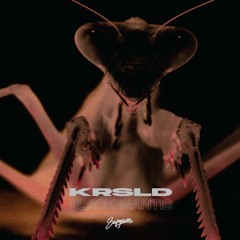 KRSLD - Black Mantis [Simply Deep Premiere]