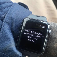 tracyland winstreak!