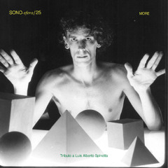 SONO-sfera/25 More