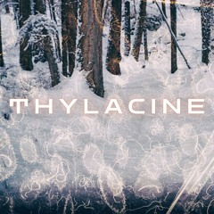 Thylacine