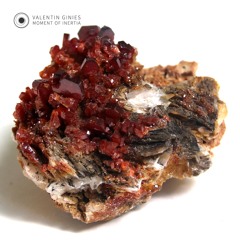 AF Premiere: Valentin Ginies - Saturniids [11001 Records][OUT!!17.09.24]