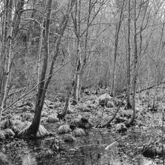 it will end. (June 2022)