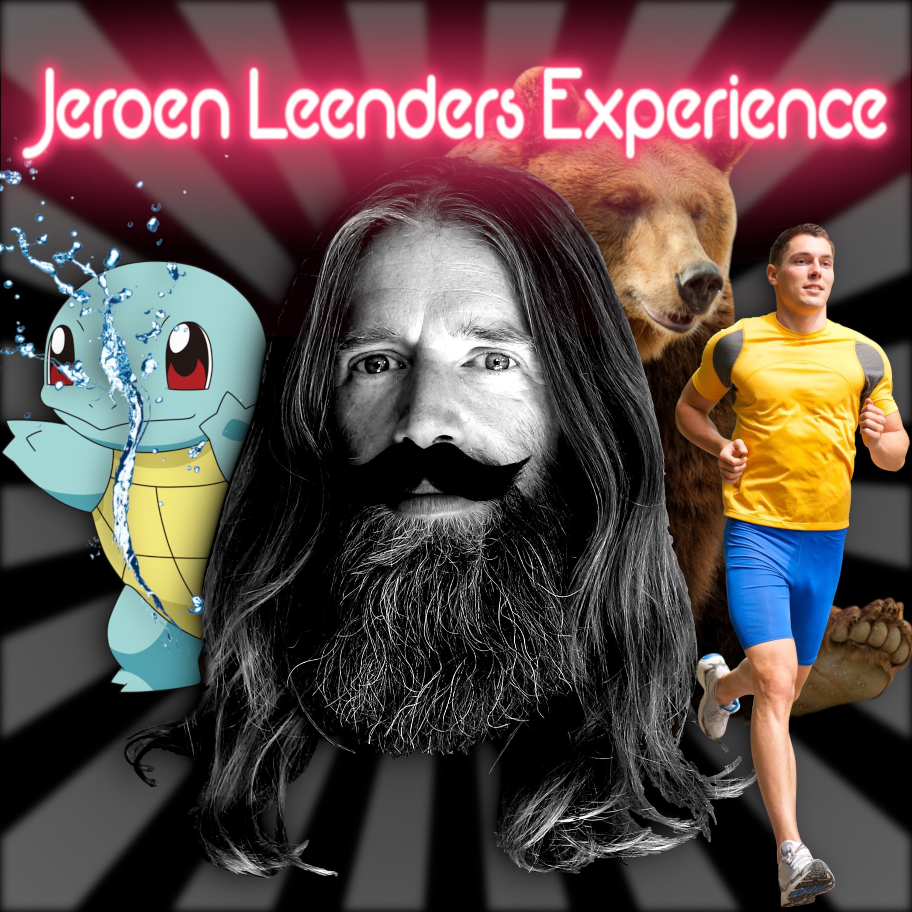 Jeroen Leenders Experience