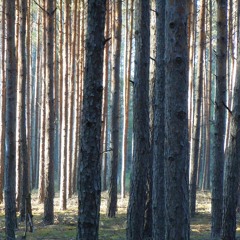 E6 - 4a (live session)