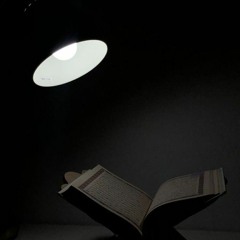 مِّنَ الْمُؤْمِنِينَ رِجَالٌ صَدَقُوا مَا عَاهَدُوا اللَّهَ عَلَيْهِ ۖ  | سورة الأحزاب | محمد أيوب