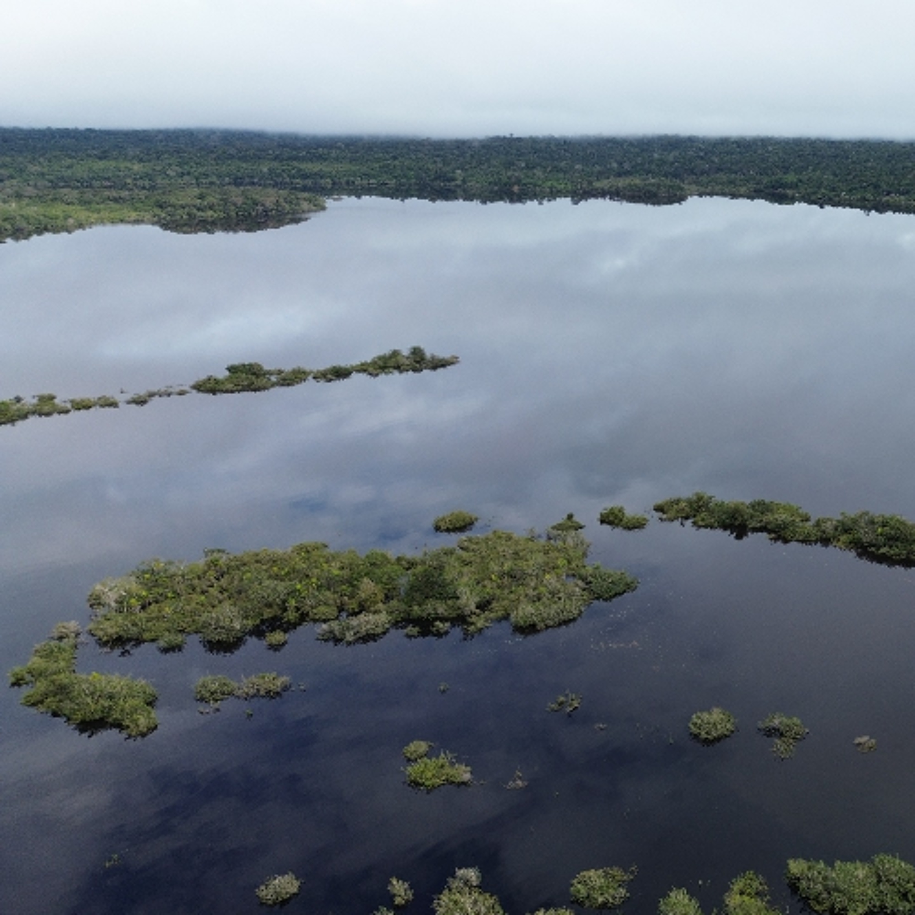 Conselho de Pesca do Arapixuna, STTR-STM e Acosper falam sobre ações nos territórios