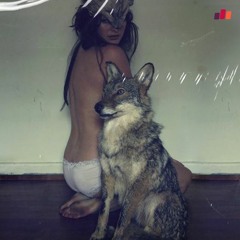 Wolves Without Teeth