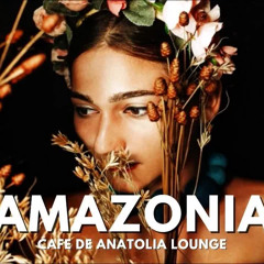 Cafe De Anatolia LOUNGE - Amazonia