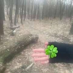 одинокий дуб