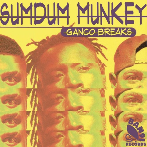 Sum Dum Munkey