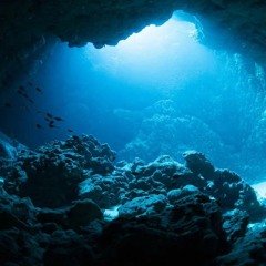 Thiem's Birthday Rave