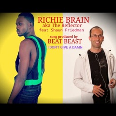 I Don't Give a Damn (Enfa Me Ho) Richie Brain aka The Reflector feat. Shaun Friedman