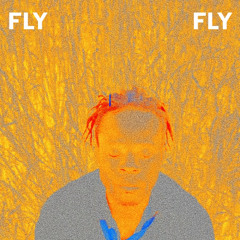 FLY FLY (Next Life)