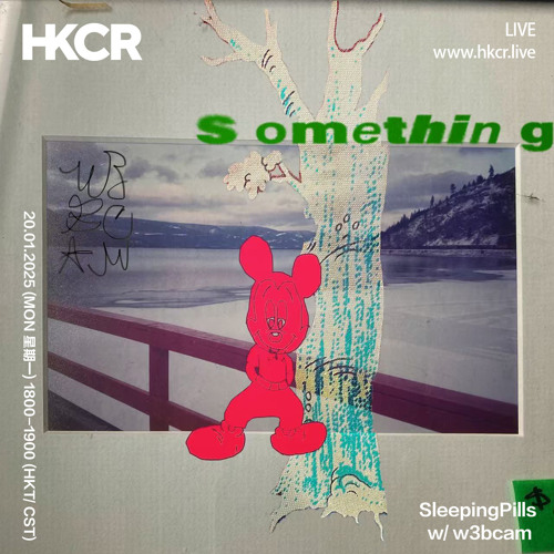 SleepingPills w/ w3bcam - 20/01/2025
