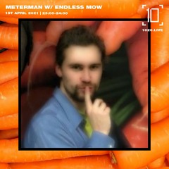 1020 Radio - 01/04/21 - meterman w/ Endless Mow