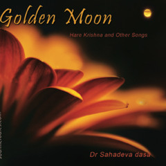 Golden moon gayagaura 2