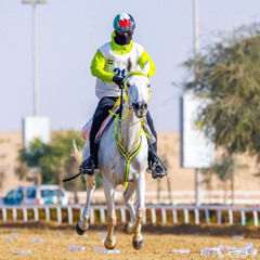 ‎⁨يا أمير قلب x ميحد حمد