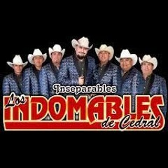 Los Indomables De Cedral Mix