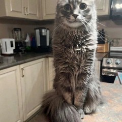 umnumn