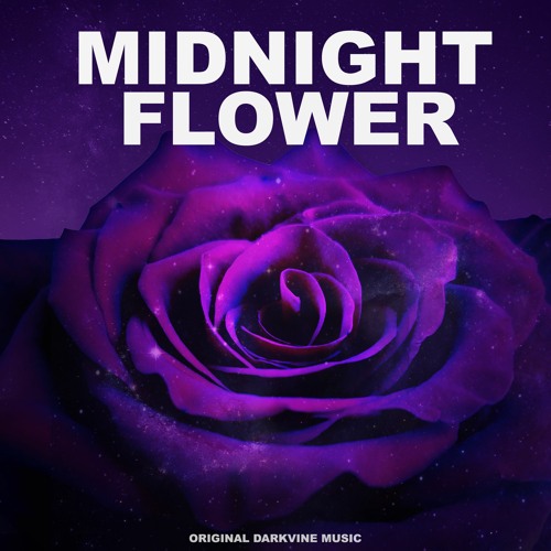 Midnight Flower (now on Spotify)