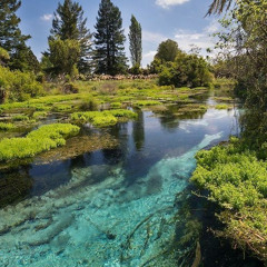 Ты неси меня, река (speed up)