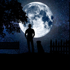 The Cool In The Evening