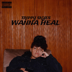 Trippy skyes-Wanna heal